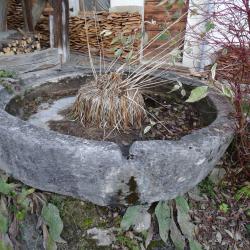 Pierre de pressoir - 2017- © Michel Jourdan